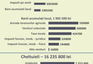 Audieri publice, aprobarea bugetului pentru anul 2025